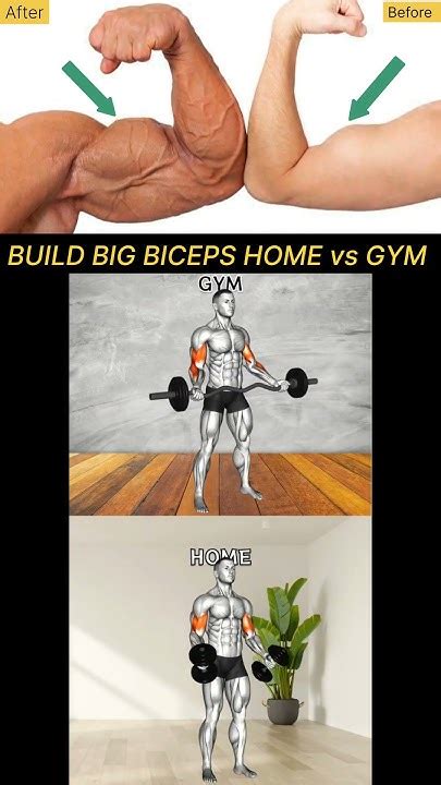 💪 Biceps Home Vs Gym 💪 Want To Build Big Biceps Fitness Shorts Biceps Bicepsworkout Bicep