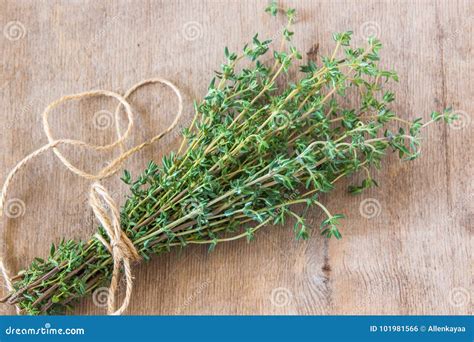 Thyme Bunch Bundle Of Fresh Thymes On A Wooden Background Stock Photo