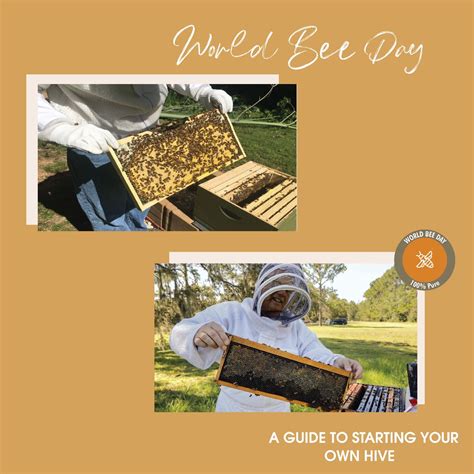 Celebrating World Bee Day 2023 With Sunhighlands Sunhighlands Australia