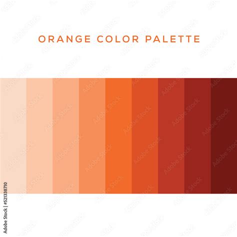 orange color palette vector illustration isolated on white background