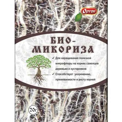 Стимулятор роста корней Биомикориза (97044): купить товары для дома и ...