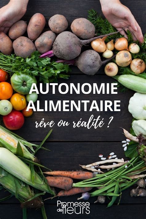 Autonomie Alimentaire Au Potager R Ve Ou R Alit Mon Avis