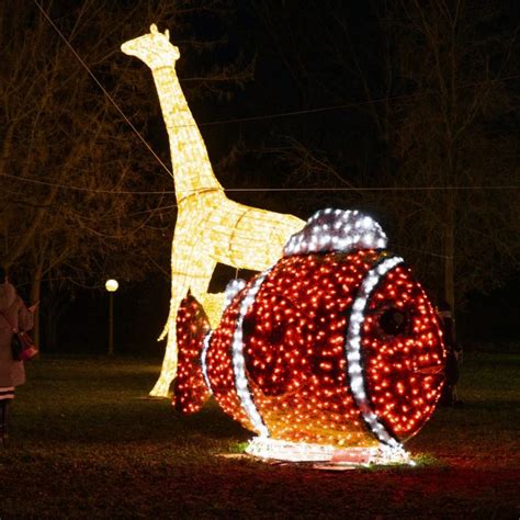 Vivi Il Natale Al Parco Del Grassano Mercatini Pista Di Ghiaccio E