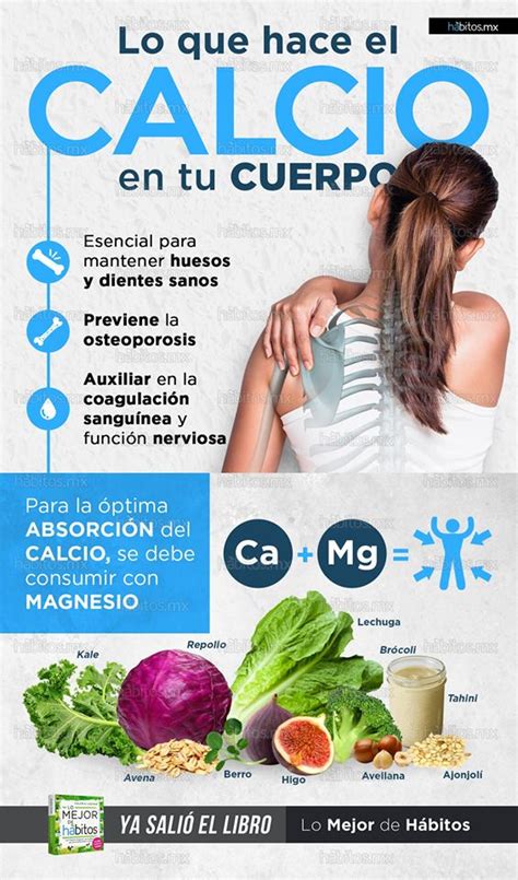 Lo que hace el calcio en tu cuerpo Hábitos Health Coaching