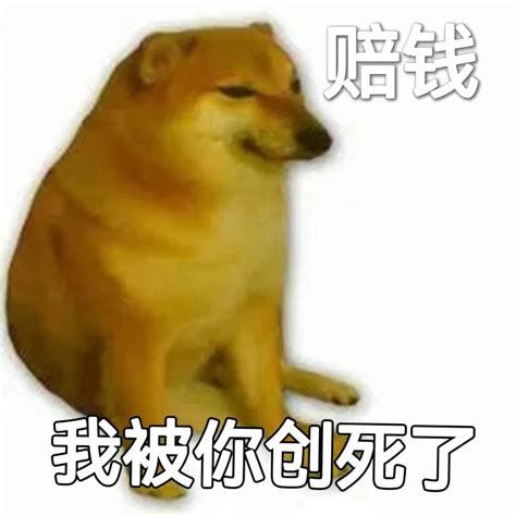 柴犬我创死你表情包