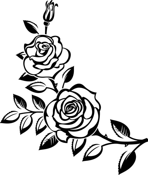 Plantilla De Ramo De Rosas Para Dise O Svg Silueta De Flor Etsy M Xico