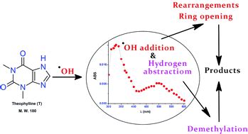 Hydroxyl Radical Induced Oxidation Of Theophylline In Water A Kinetic