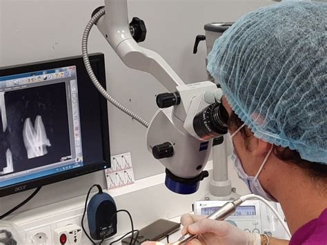 Diploma De Especializaci N En Endodoncia Aplicaciones Y Uso Del