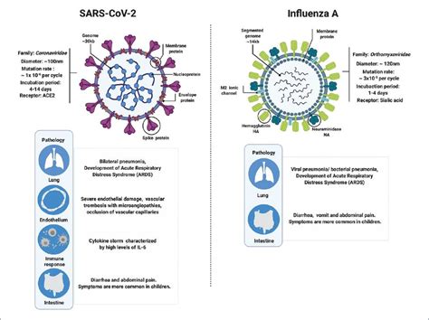 SARS CoV 2 And Influenza A Comparative Overview And Treatment Implications