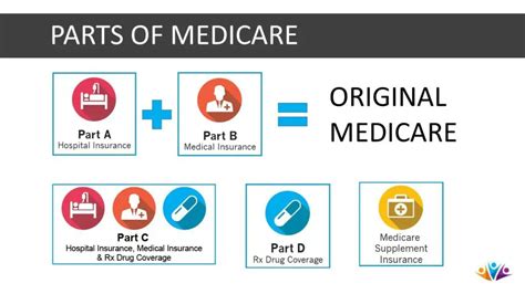 Medicare Part Abcd Coverage Snfeti