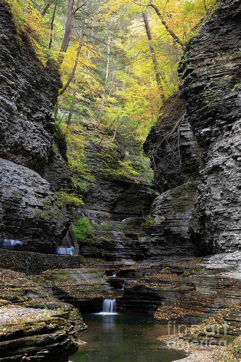 Watkins Glen State Park during autumn Photograph by Jeannette Hunt ...