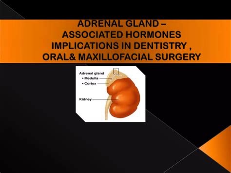 Adrenal Gland Ppt