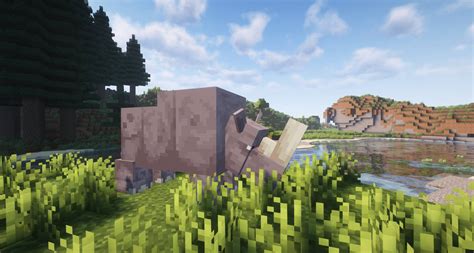 Install More Biomes FORGE QUALITY UPDATE Minecraft Mods