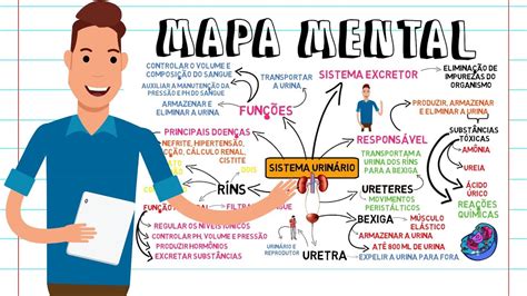 Mapa Mental Sistema Urinário