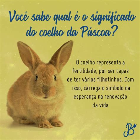 Significado Do Coelho Da P Scoa Coelhinho Da P Scoa Religi O