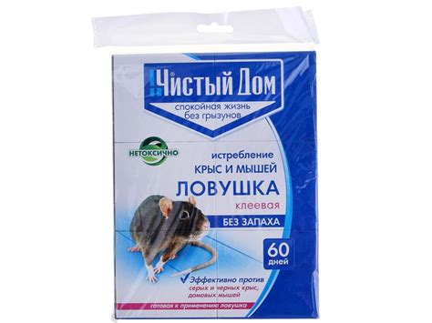 Клей против крыс мышей и других грызунов: как отмыть от поверхности и кота