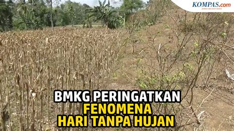 Bmkg Peringatkan Potensi Kekeringan Meteorologis Di Berbagai Wilayah Youtube