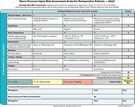 The Munro Scale Journey From Conception To Validity And Reliability