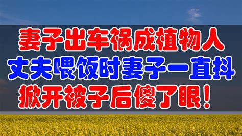 妻子出车祸成植物人，丈夫喂饭时妻子一直抖，掀开被子后傻了眼！ Youtube