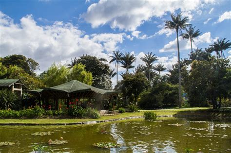 Bogotá Botanical Garden Tour And Tickets Hansa Tours