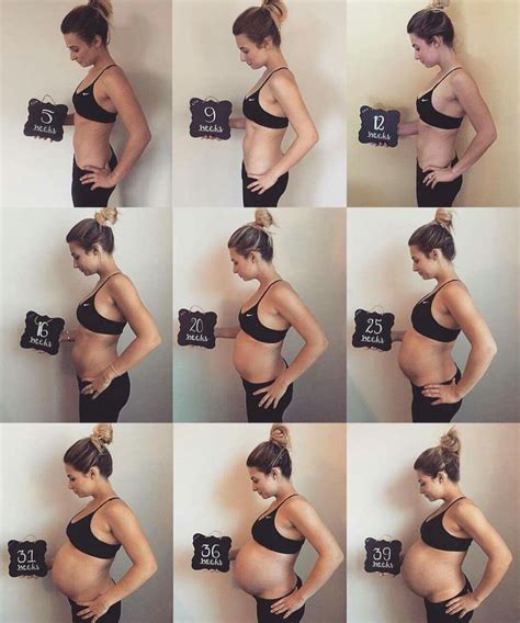 Pin By Noemie On Premier B B Baby Bump Progression Pregnancy