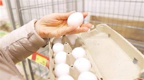 A Woman Buys Eggs At A Grocery Store Stock Video Video Of Deal Check