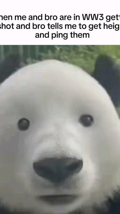 How I Look At Bro In Ww3 Youtube