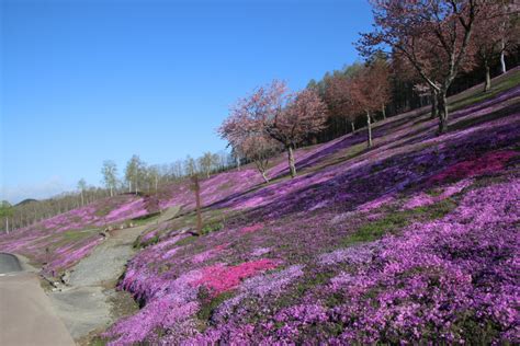 【5月7日】 ゴールデンウイーク最終日｜北海道滝上町