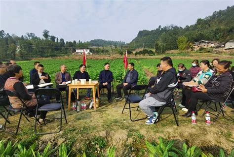 沐川县人民政府