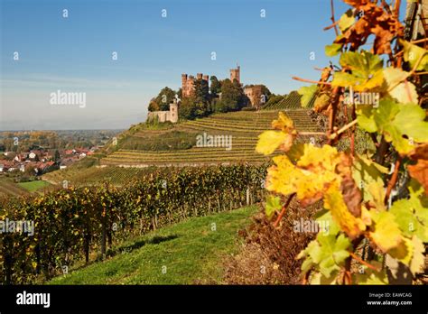 Ortenau Offenburg Fotos Und Bildmaterial In Hoher Auflösung Alamy