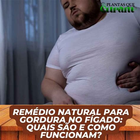 Rem Dio Natural Para Gordura No F Gado Quais S O E Como Funcionam