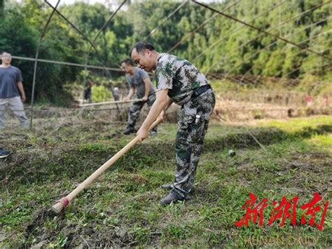 桂花园乡：乡村干部齐上阵，整治抛荒下“狠功” 洪江区 新湖南