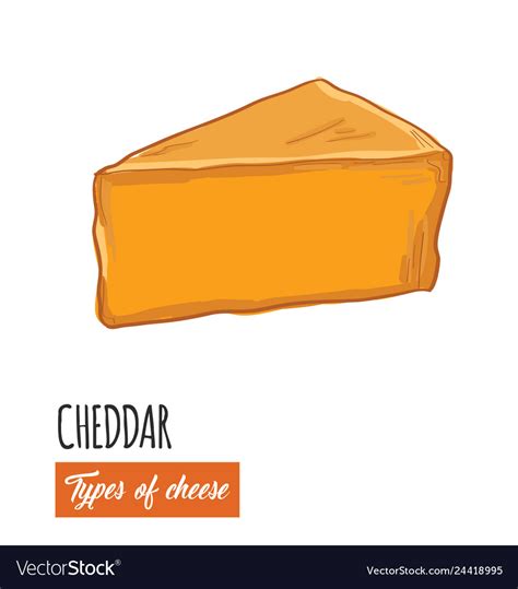 Hand Drawn Colorful Cheddar Cheese Royalty Free Vector Image