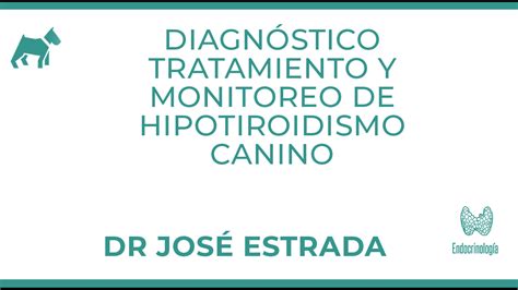 DR JOSÉ ESTRADA DIAGNÓSTICO TRATAMIENTO Y MONITOREO DE HIPOTIROIDISMO