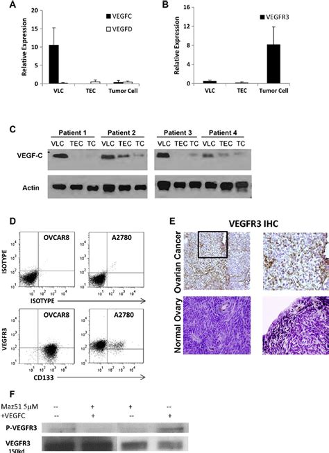 Expression Of Vegf C Vegf D And Vegfr In Ovarian Cancer A And B