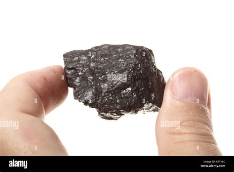 Coal Lump Carbon Nugget In Male Hand Isolated Stock Photo Alamy