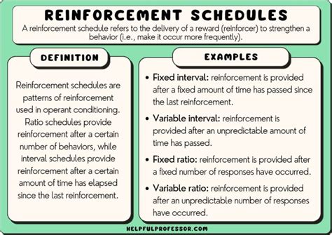 Reinforcement Schedule Examples Of All Types