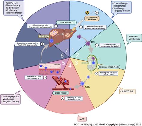 Immunotherapy For Advanced Hepatocellular Carcinoma From Clinical