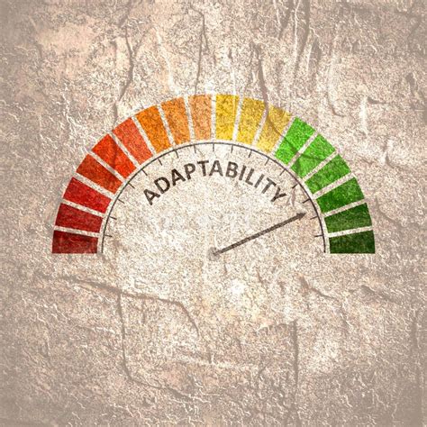 Concepto De Adaptabilidad Humana Desarrollo De Cualidades Personales