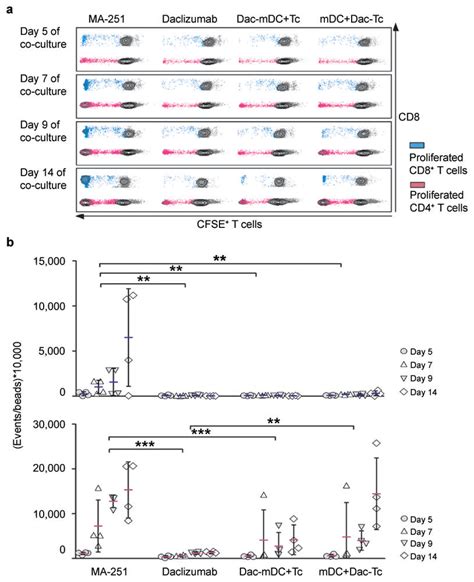 Selective Blockade Of Cd25 On Mdcs Is Sufficient To Abrogate T Cell Download Scientific Diagram