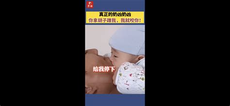 劳动报 真正的奶凶奶凶！你拿胡子蹭我，我就咬你！