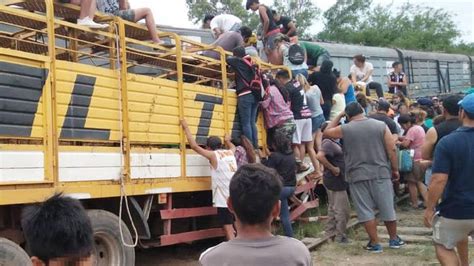 De Película Un Tren Arrolló Un Camión Con Vacas Y Los Vecinos Las