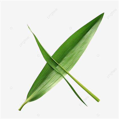 Sugarcane Leaf File Png Cane Sugar Sugarcane PNG Transparent Image