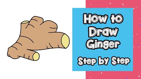 Ginger Drawing Easy How To Draw Ginger By Nifty Toy Art Youtube