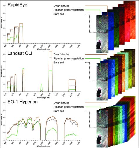 Exemplary Spectral Curves Of Field Plots With Different Land Cover