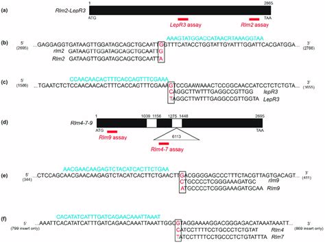 Location And Flanking Sequences Of The Kompetitive Allele Specific Pcr