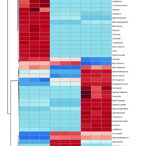 Heat Maps Showing Major Class Of Compounds In Fresh Oven Dried And