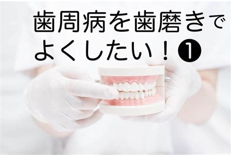 【歯周病を歯磨きで治したい①】歯間をマッサージする歯磨き法がおすすめ。歯肉が再生する？｜カラダネ