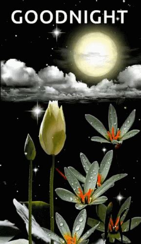 Good Night Starry Night GIF - Good Night Starry Night Flower - Discover & Share GIFs | Good ...