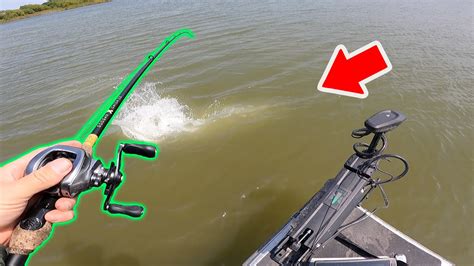 Giant Fish Takes Off With My Swimbait Bass Manager The Best Bass